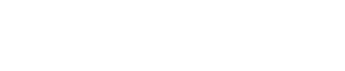 Haarvisie